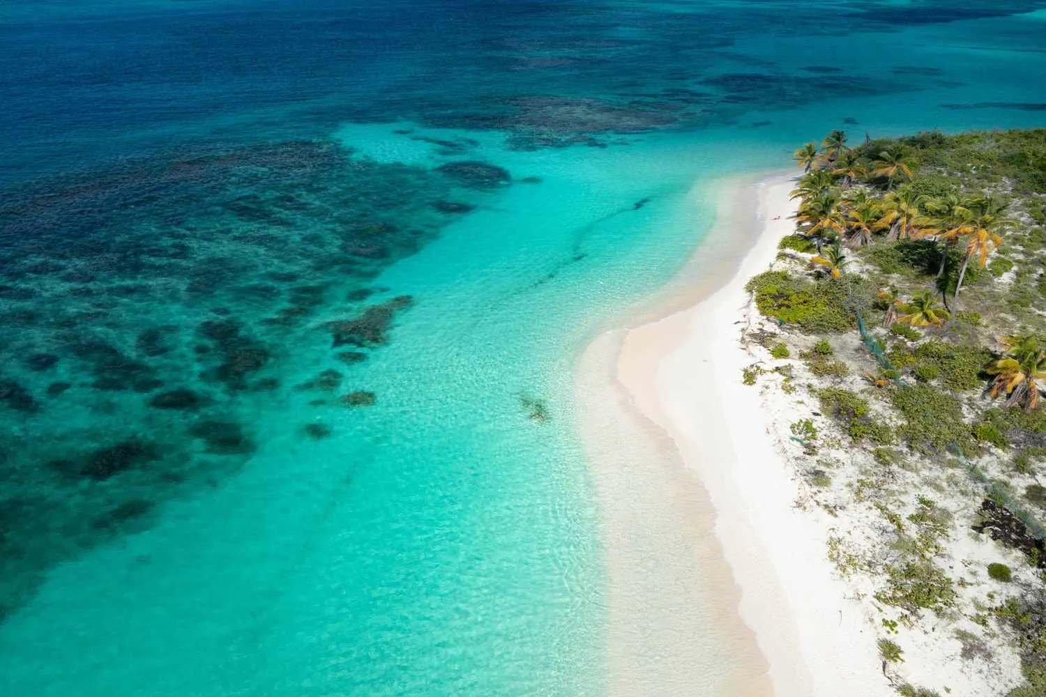 Aerial view of a turquoise Caribbean shoreline with white sand and palm trees.