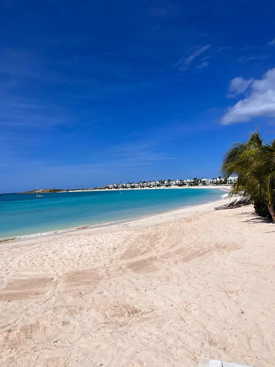 Maundays Bay in Anguilla: turquoise water, white sand and a palm tree on the shore.